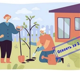Закон об освоении земельных участков: без штрафов и изъятия