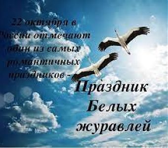 Летят в бессмертье журавли...