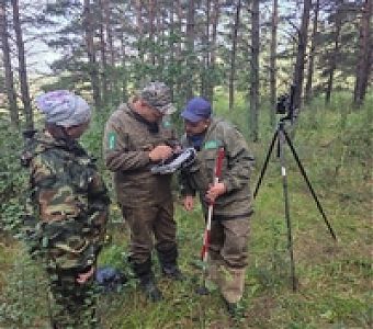 Лесные богатства Кузбасса находятся под контролем