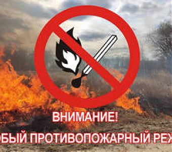 Особый противопожарный режим в Кузбассе: сроки, требования пожарной безопасности, штрафы