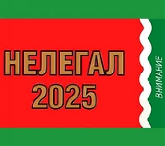 Полицейские проводят масштабные проверки иностранных граждан