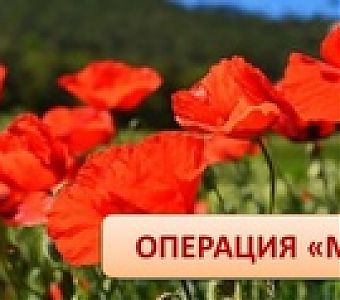 Оперативно-профилактическое мероприятие 