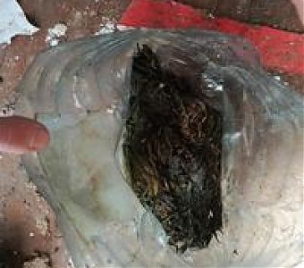 Причастен к хранению наркотических средств, наказание следует