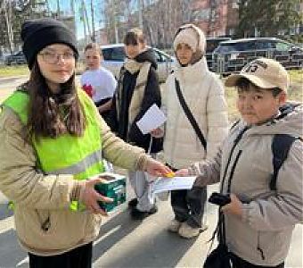 Несколько простых правил безопасного перехода проезжей части