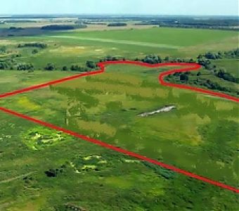 Как согласовать границы земельных участков, если есть возражения?