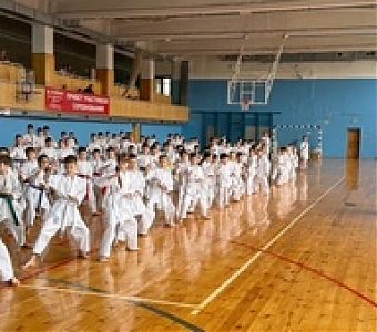 Шанс учиться каратэ у титулованного зарубежного тренера выпадает не каждому
