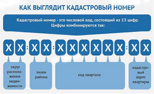 Что можно узнать про объект недвижимости, зная его кадастровый номер?